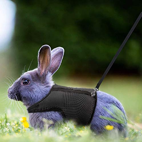 PETTOM Bunny Rabbit Harness with Stretchy Leash Cute Adjustable Buckle Breathable Mesh Vest for Kitten Small Pets Walking (Black,L) - color: Black, size: L(Chest:10.6-13.3 in)