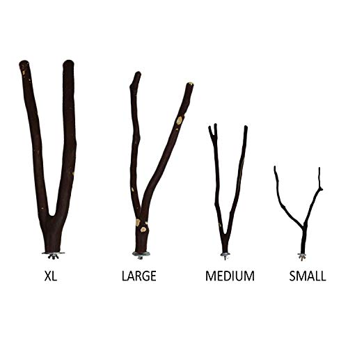 Exotic Nutrition Manzanita Branch 17" x 1/2" (Medium) - Durable Natural Cage Accessory - for Sugar Gliders, Marmosets, Squirrels, Birds, Parrots, Degus, Chinchillas & Other Small Animals