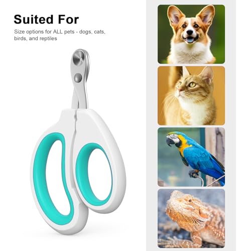 Aogeili Cat Claw Nail Clippers, Beginner Friendly Safety Trimmer, Pet Grooming Essentials Accessories with Stainless Steel Non Slip Handle for Kitten Puppy Rabbit Small Pets - color: green
