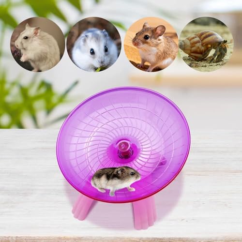 Litewood Small Hamster Wheel Hermit Crab Wheel Small Animal Flying Saucer Spinner Silent Running Exercise Toy Cage Tank Accessory for Dwarf Hamster Gerbil Mouse Rat Mice Hermit Crab (Pink) - color: PINK