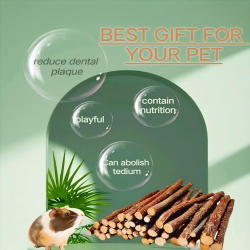 Apple Wood Sticks for Chinchilla,Chew Toys and Treats for Rabbit | Natural Chew Toys For Guinea Pig Hamster Gerbil Rabbit, Chew Toys for Teeth (Thin 600g-21oz) - style: Thin-21oz