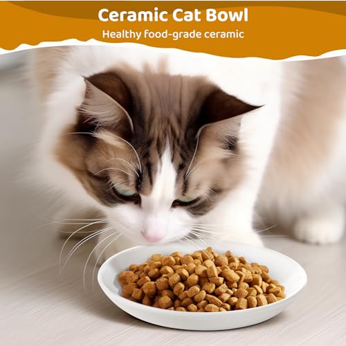 Ceramic Cat Food Plates: Cat Wet Food Bowls/Whisker Fatigue Cat Dishes & Shallow Bowls for Kittens and Small Animals | For wet/dry food; fits kittens, rabbits, hamsters; microwave & dishwasher safe; stable fishbone design - color: Fish bone