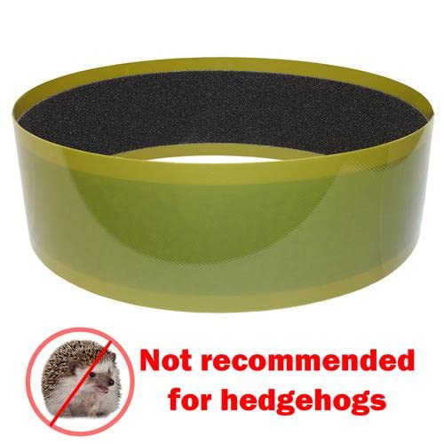 Silent Runner 12" Wide + Cage Attachment + Sandy Track - Silent, Fast, Durable Exercise Wheel - Sugar Gliders, Degus, Rats, Hedgehogs, Prairie Dogs & Small Pets