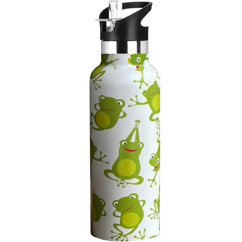 Kids Water Bottle with Straw,Green Frog Bottle Vacuum Insulated Stainless Steel Travel Mugs Tumbler For Sport School Outdoor 20 oz - color: Green Frog