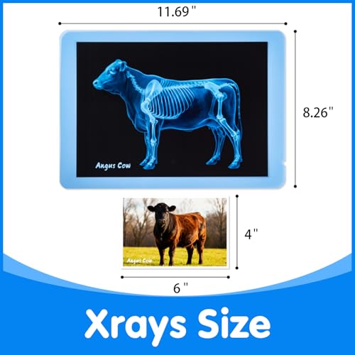10 Pcs Farm Animal Xrays - Light Table Accessories | Vet Role Play & Preschool Learning Farm Animal X-Ray Set - style: Farm Series
