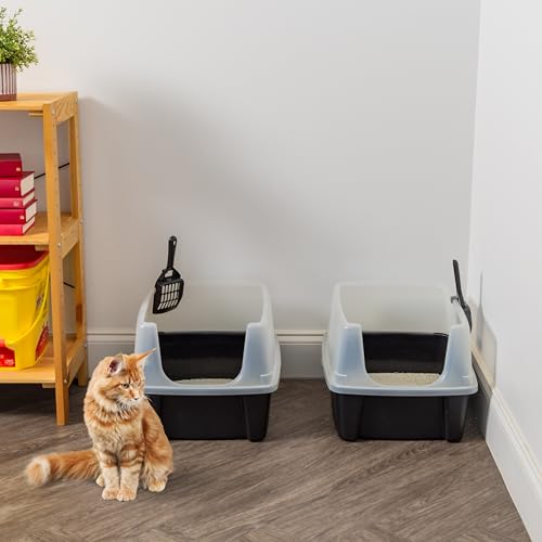 IRIS USA Large High Sided Cat Litter Box, Scatter Shield, Black | Active Cats, Tall Wall Protection, Kick-Proof Sides, Extra Deep Pan, Easy Daily Scoop, Keeps Floor Clean - color: Black, size: Open Top - 2 Pack