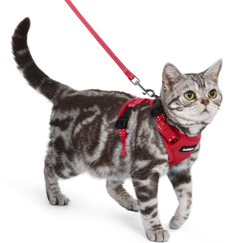rabbitgoo Cat Harness and Leash, Easy-on with Neck Buckle, Red | Escape Proof, No Over-the-head, Soft Air Mesh, 3 Lockable Adjusters & Buckles, Reflective, for Small to Average Cats Walks, S - color: Red, size: S