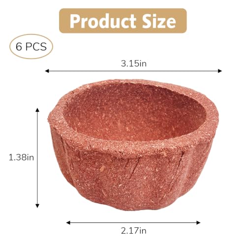PINVNBY 6 Pcs Hamster Chew Toys Edible Natural Timothy Hay Guinea Pig Chew Bowl Teeth Grinding Chewing Chinchilla Treats for Guinea Pigs Mice Rabbits Gerbils