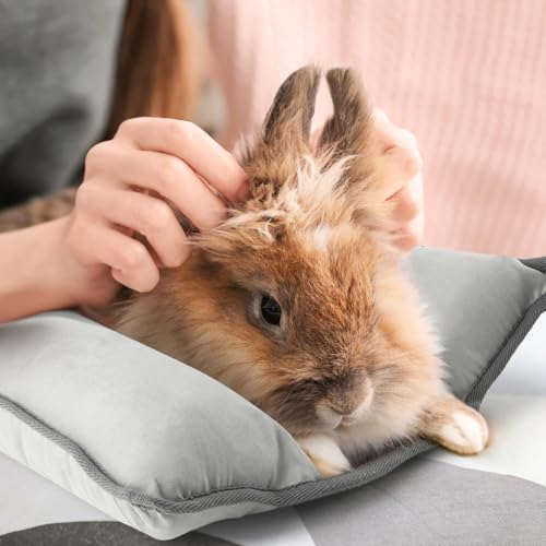 Rabbit Bed, Washable Bunny Pillow, Reversible Lounger Pad, Soft Small Animal Bedding, Stress Relief Pet Mat for Kittens, Guinea Pigs, Puppies - color: Light Grey