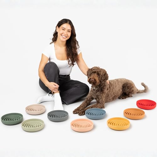 Slow Feeder for Dogs & Puppies, The Slowdown Bowl Silicone Slow Eating, Modern Lick Mat Design, Reduces Gulping, Fits 2 Cups, 7.5” Across x 1.5” Tall, Mealtime Challenge, Medium-Sage - color: Sage - Rainbow Design, size: Medium (7.5” Across x 1.5” Tall)