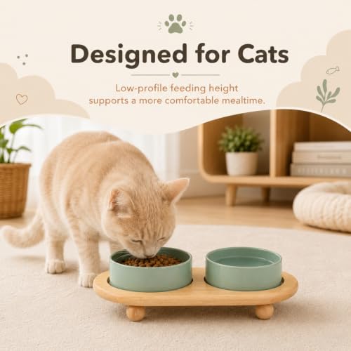 Havniva Raised Cat Bowl 5.1” Elevated Ceramic Cat Food and Water Bowl Set | Cat Bowls Elevated, Whisker Friendly Cat Bowl, Non-Slip Wood Stand, Food-Grade Ceramic, Wide Opening, Dishwasher Safe - color: 2 x Bowl + Stand - Light Green, size: 5.1inch