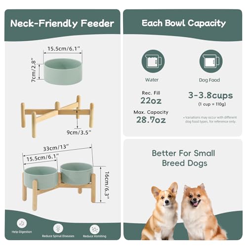 Havniva Elevated Dog Bowls Ceramic Dog Bowls with Stand, Dog Food Bowl | 6.1” Raised Dog Bowls with Non-Slip Wood Stand, Dog Food and Water Bowl Set, Double Dog Feeding Bowls for Small & Medium Dogs - color: 2 Bowls+Stand - Light Green, size: 6.1inch