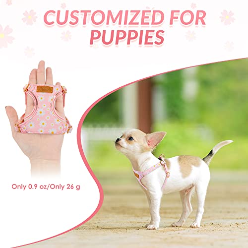 Lukovee Puppy Harness and Leash Set, No Pull, Lightweight Step in Vest | Adjustable, Soft Suede Vest, Easy Put on and off Pet Harness with Snap Buckle & 51in Leash for Small Medium Dogs (Pink, XXS) - color: Pink Daisy, size: XX-Small ( 2.2-6lb )