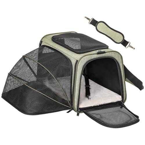 Petsfit Medium Expandable Cat Carrier for Air Travel, Up to 13 lb | 17 x 11 x 11 in; sized for Delta Airlines, with locking zippers, a handy D-ring, large pocket and multi-side ventilation. - color: Green, size: 17.0"L x 11.0"W x 11.0"H