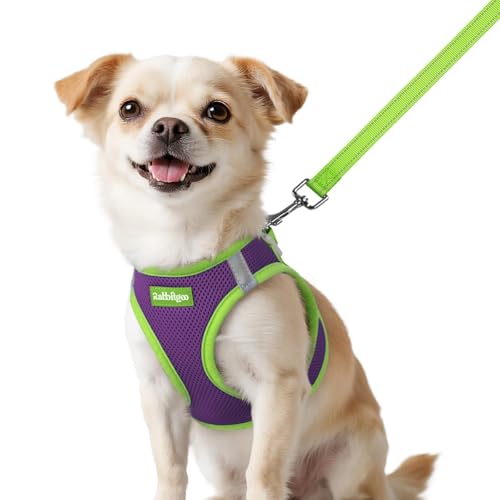 rabbitgoo Dog Harness Small Sized and Leash Set, Step in Soft Vest | Breathable Mesh, Easy Wear with Hook & Loop, Light and Reflective for Walking, Multi-colored, Purple & Green, XXS - color: Purple & Green, size: XXS (Chest: 12.4"-14.2")