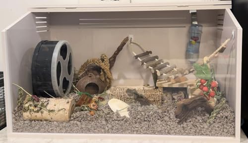 Sahara Cage - Unique & Modern Cage for Hamsters, Gerbils, Degus, Rats, Hedgehogs, Reptiles, and Other Small Animals (Small) - size: Small