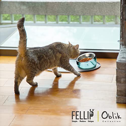 Felli Oblik Elevated Cat Bowl Removable Stainless Steel Wide Dish for Dry Wet Food Feeding & Dishwasher Clean, Slanted Whisker Fatigue Friendly Metal Plate (Classic, 0.5 Cups Shallow Dish) - color: Classic, size: 0.5 Cups Shallow Dish