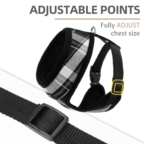 PUPTECK Soft Mesh Dog Harness and Leash Set Pet Puppy Cat Comfort Padded Vest No Pull Harnesses, Black, S - color: Black, size: S (NECK: 12", CHEST: 14"-18")