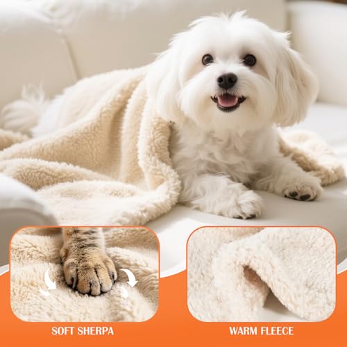 2 Pack Cat Blanket for Small Dogs Puppy Cat Kitten, 16" x 24" | Soft Warm Sherpa Fleece Cat Blanket Washable, Grey/Beige