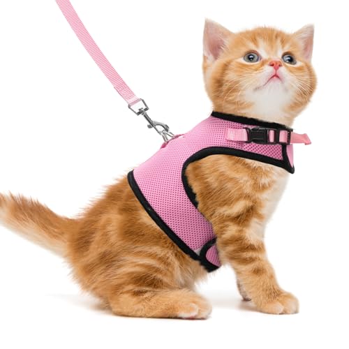 PUPTECK Soft Mesh Cat Vest Harness and Leash Set Puppy Padded Pet Harnesses Escape Proof for Cats Small Dogs (Small, Pink) - color: Pink, size: S(NECK 6", CHEST 8.5", 2-4 lbs)