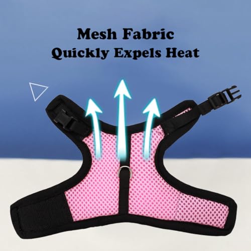 Blue Bunny Harness and Leash Set Ferret Harness Rabbit Vest, M | Quick-release, Breathable, Escape Proof, Suit For 2-3months Young Rabbit, 2-4months Ferret, 3-5months Guinea Pig - color: Blue, size: M