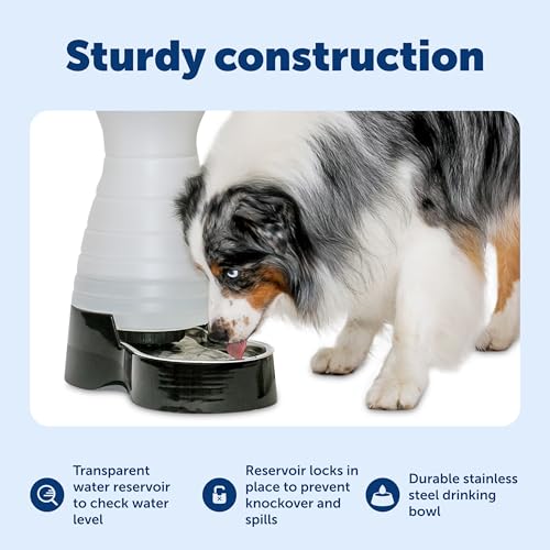 PetSafe Healthy Pet Water Station, 128 oz, Stainless Steel Bowl, Medium | Gravity-Fed Pet Water Fountain Keeps Cats or Small Dogs Hydrated, Stainless Steel Bowl Is Dishwasher Safe - size: Medium