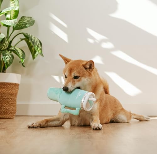 Nestpark Tumbler Cup Funny Dog Toy - Parody Plush Squeaky Crinkle Dog Toy (Seafoam Green) - color: Seafoam Green