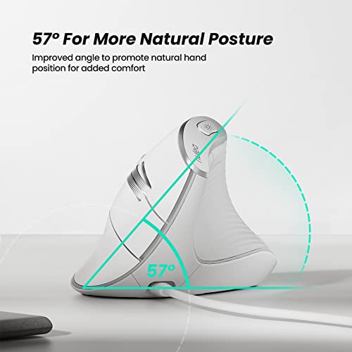 Nulea M504 Wired Vertical Mouse, USB Ergonomic Optical Mouse with 4 Adjustable DPI, 11 RGB Backlight Modes, Compatible for Laptop, PC, Desktop, Mac, White - color: C-White