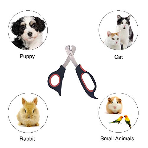 Professional Cat Nail Clippers Trimmer Scissors for Small Breeds, Puppies, Rabbits, and More, Safe Sharp Stainless Steel Blades, Non-Slip Big Handles, Easy At Home Grooming