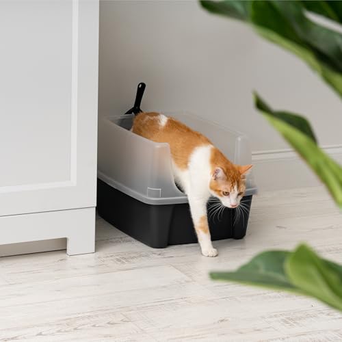 IRIS USA Large High Sided Cat Litter Box, Scatter Shield | High Kickers, Kick-Proof Sides, Extra Deep Pan, Raised Edge Protection, Keeps Floor Clean, Easy Daily Scoop - color: Black, style: Open Top