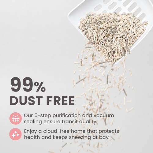 Lady N Tofu Cat Litter, Low Dust Compatible with Auto-Box Unscented 18lb | Mini-Pellet Shape, Strong Clumping, Ultra Absorbent, Activated Charcoal Odor Control - size: 9lb x 2bags