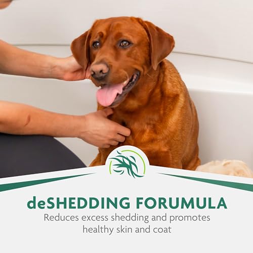 FURminator Ultra Premium deShedding Shampoo for Dogs Helps Reduce Excess Shedding, 16 oz - size: 16 oz, style: Shampoo