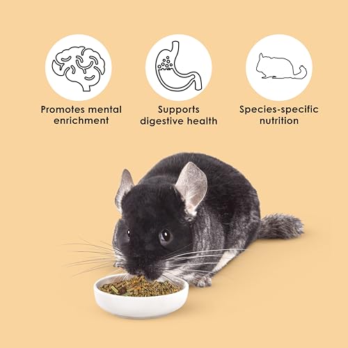 Kaytee Food from the Wild Chinchilla (Chinchilla Food), 3 Pounds | Pet food for gut health. High-fiber pellets. Timothy hay, natural probiotics, no added sugar - size: 3 Pound (Pack of 1)