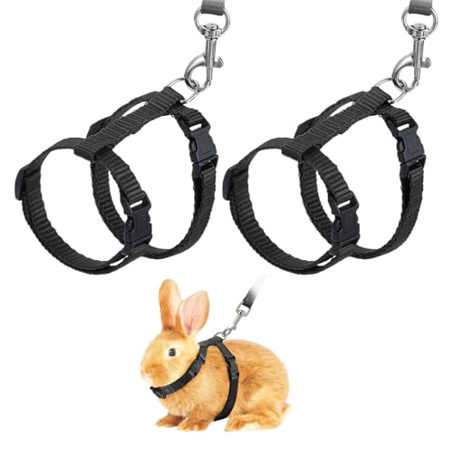 Rabbit Harness and Leash, Escape Proof Bunny Cat Leash Small Animal Harness Soft Adjustable Buckle(2Pcs, Black) for Bunny Kitten Cats Puppies Walking Hiking Training - color: Black