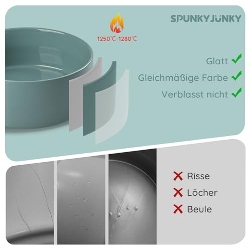 SPUNKYJUNKY 13.5OZ Ceramic Dog and Cat Bowl, Modern Cute Weighted Food Water Bowl for Replacement Light Green (2 Pack) - color: Light Green, size: 1.7 CUPS × 2