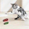 XCZAP Cat Electric Toy Bug – Automatic Rolling Interactive Cat Toy (2-Pack)(PC-Green Red) - color: PC-Green Red