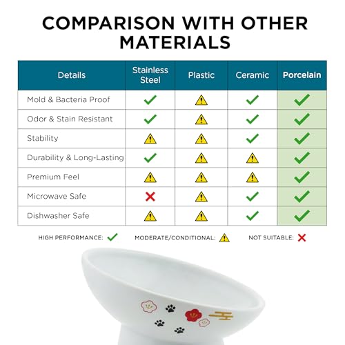 Necoichi Ceramic Elevated Cat Food Bowl, 15° Tilted (Fuji, Regular Tilted) - color: Fuji, size: Regular Tilted