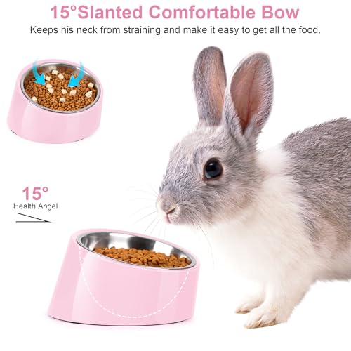 Tilted Dog Bowl Non-Slip & Non-Spill Pet Feeder with Elevated Detachable Melamine Stand, Easy to Get Food Dog Dish, S/100ml Pink - color: Pink, size: Small(100ml)