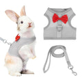 Rabbit Harness and Leash, Small Pet Cute Vest Harness Leash Soft Adjustable Buckle Breathable Mesh (S, Gray) for Bunny Kitten Small Pig Puppies Camping Hiking Training - color: Gray, size: S
