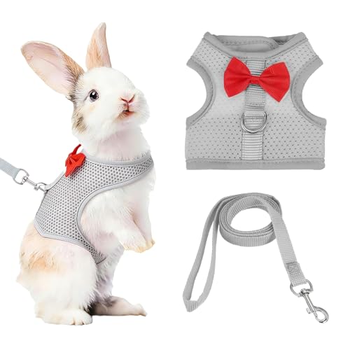 Rabbit Harness and Leash, Small Pet Cute Vest Harness Leash Soft Adjustable Buckle Breathable Mesh (S, Gray) for Bunny Kitten Small Pig Puppies Camping Hiking Training - color: Gray, size: S