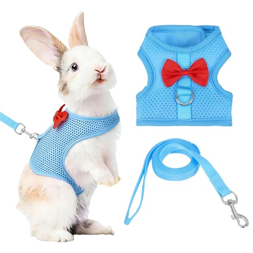 Rabbit Harness and Leash, Small Pet Cute Vest Harness Leash Soft Adjustable Buckle Breathable Mesh (S, Sky Blue) for Bunny Kitten Small Pig Puppies Camping Hiking Training - color: Sky Blue, size: S