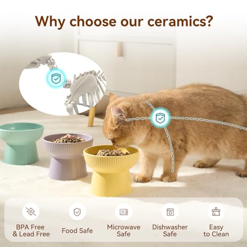Ceramic Elevated Cat Bowls-Water Bowl, 15° Tilted Design, Anti-Vomiting & Spine Protection, Prevent Whisker Fatigue for Kittens to Adult Cats and Small Dogs (White-Cat Shape-1) - color: White-Cat Shape-1