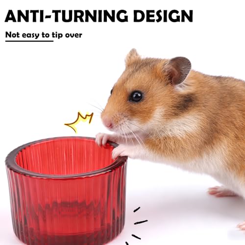 2 Pack Hamster Bowl Glass Food and Water Dish Anti-Turning Colorful Feeder for Dwarf Syrian Hamster Gerbil Mice Rat (Random Color)