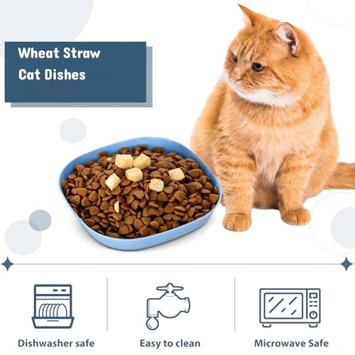 Tioncy 24 Pcs Fatigue Relief Cat Bowl 5.7 Inch Shallow Cat Food Dish Wide and Small Pet Wet Feeding Bowl for Kitten Short Legged Kitten Ferrets Feral Small Animals(Blue, Green, Pink, Beige,Classic) - color: Blue, Green, Pink, Beige, style: Classic