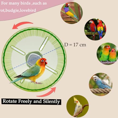 Birds Running Wheel Exercise Toys, Parrot Hamster Exercise Wheel Toy, Quiet Running Wheel for Parrots Bird Parakeets Hamster Guinea Pig Budgie Lovebird and More (Green)