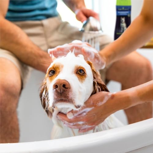 FURminator Ultra Premium deShedding Conditioner for Dogs, 16 oz | Reduces Excess Shedding, Conditioners Nourish Skin & Coat, Helps Remove Wet Dog Smell, No Parabens or Dyes, Fresh Scent - size: 16 oz, style: Conditioner
