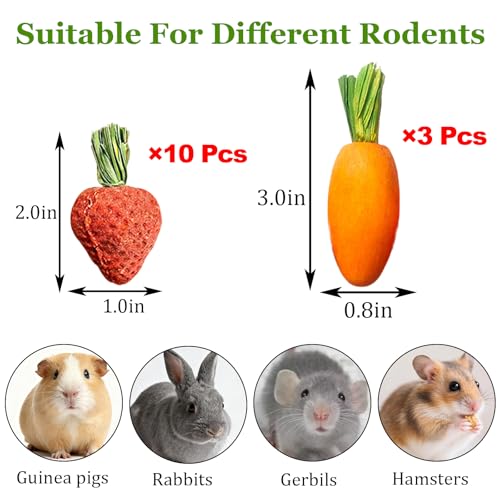 Hamiledyi Hamster Chew Toys Rabbit Chew Toys for Teeth Guinea Pig Treats Enrichment Habitat Decor for Bunny Chinchilla Gerbil Rat (13 Pcs) - size: 13 Pcs
