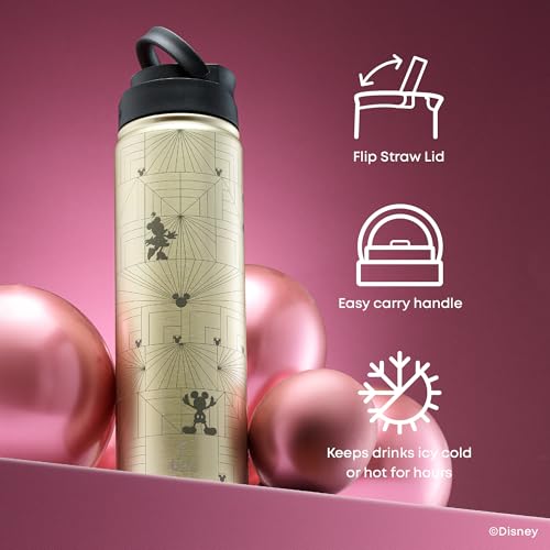 JoyJolt Disney MonoMouse Stainless Steel Water Bottle with Flip Straw Lid, 22 oz Vacuum Insulated Water Bottle, BPA-Free Tumbler ft Minnie & Mickey Mouse | Gold