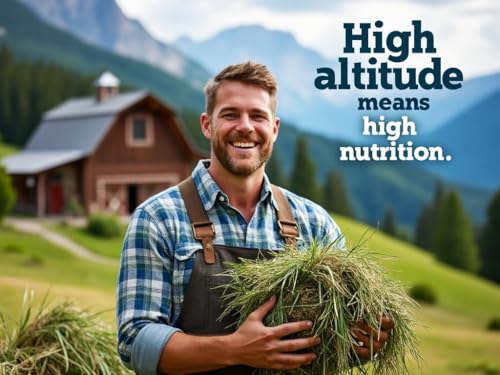 Blue Mountain Hay Timothy Hay Easy Flake Feed for Small Pets, 25lb | Easy Flake Timothy Hay, High Fiber Daily Forage, Soft Leafy Texture, Supports Digestion and Dental Care, Natural Nutrition - size: 25 Pound (Pack of 1)