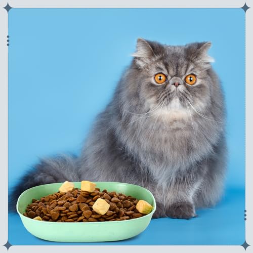 Tioncy 24 Pcs Fatigue Relief Cat Bowl 5.7 Inch Shallow Cat Food Dish Wide and Small Pet Wet Feeding Bowl for Kitten Short Legged Kitten Ferrets Feral Small Animals(Blue, Green, Pink, Beige,Classic) - color: Blue, Green, Pink, Beige, style: Classic